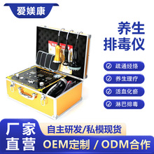 养生排毒仪生物电dds体控按摩仪器酸碱平多功能经络疏通美容机器