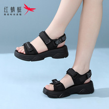 红蜻蜓夏季品牌黑色厚底夏天运动沙滩鞋女外穿防滑老爹松糕底凉鞋