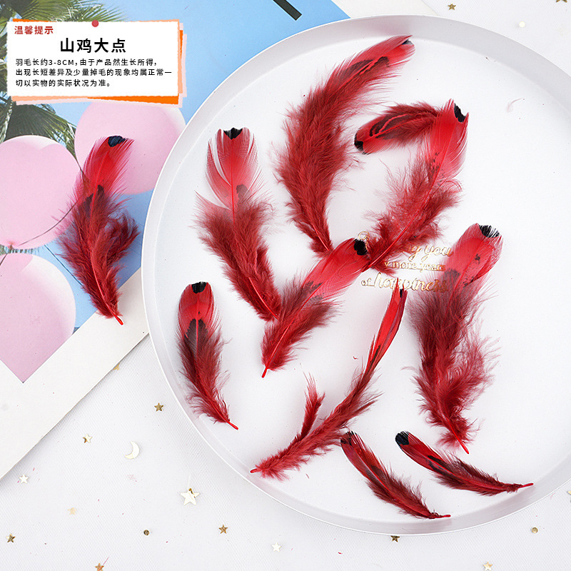 57 メーカーが既製の大きな赤い羽の DIY ジュエリー アクセサリー、衣類、工芸品、装飾材料を供給しています。|undefined
