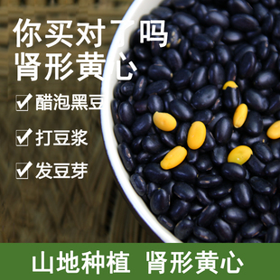 �ϷN�ڶ����r�ҷNֲ�S���I���SоС�ڶ��S����ȼZ�򶹝{