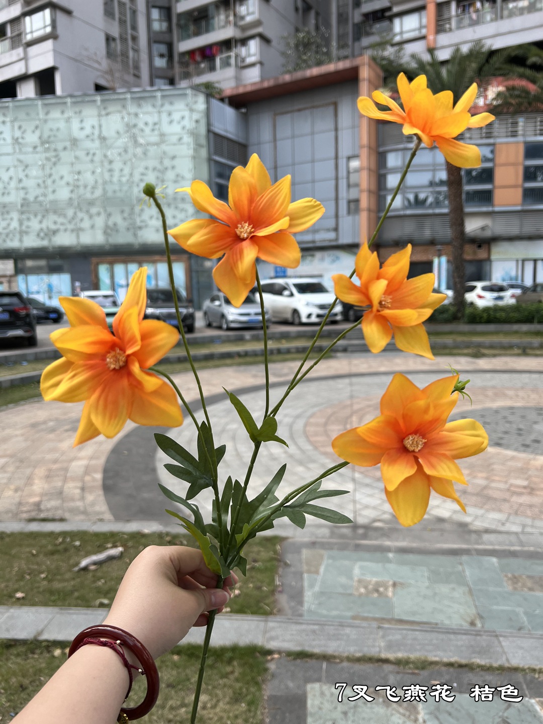 오렌지