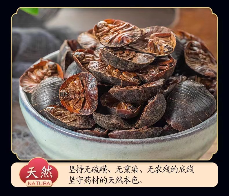 Dried Ground Beetle Tu Bie Chong Whole Insect Chinese Herb Eupolyphaga 500g Loose Bulk quality and texture