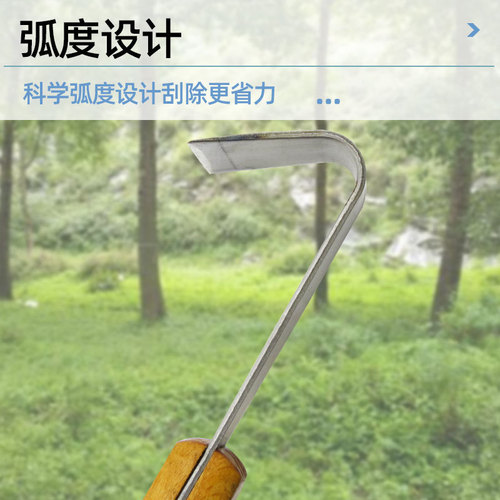 Fruit tree rot knife manual scraper gardening bark scraper forged multi-functional tree scraping tool