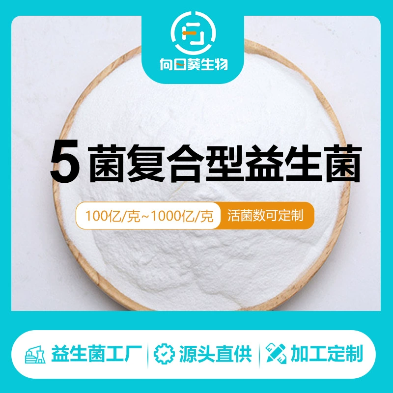 Соединение с пятью бактериями Пробиотики Живые бактерии Сублимированные ферментированные молочнокислые бактерии Пробиотический порошок Количество живых бактерий 10 миллиардов/г