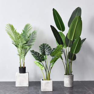 ���W����ֲ�������������辰�Ҿ������~ֲ���҃��b�[��