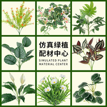 ����Gֲ�쾰���ۻ���廨С��Ĵ����֧���ϼ٘�Сֲ���b[��