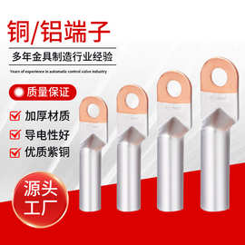 批发铜铝鼻子DTL10-400mm2铜铝过渡线鼻子铜铝连接销电缆接线端子