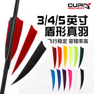 ���͹������� 4Ӣ�缃ɫ������ë���u���S��ֱ���羳���u12�N�ɫ