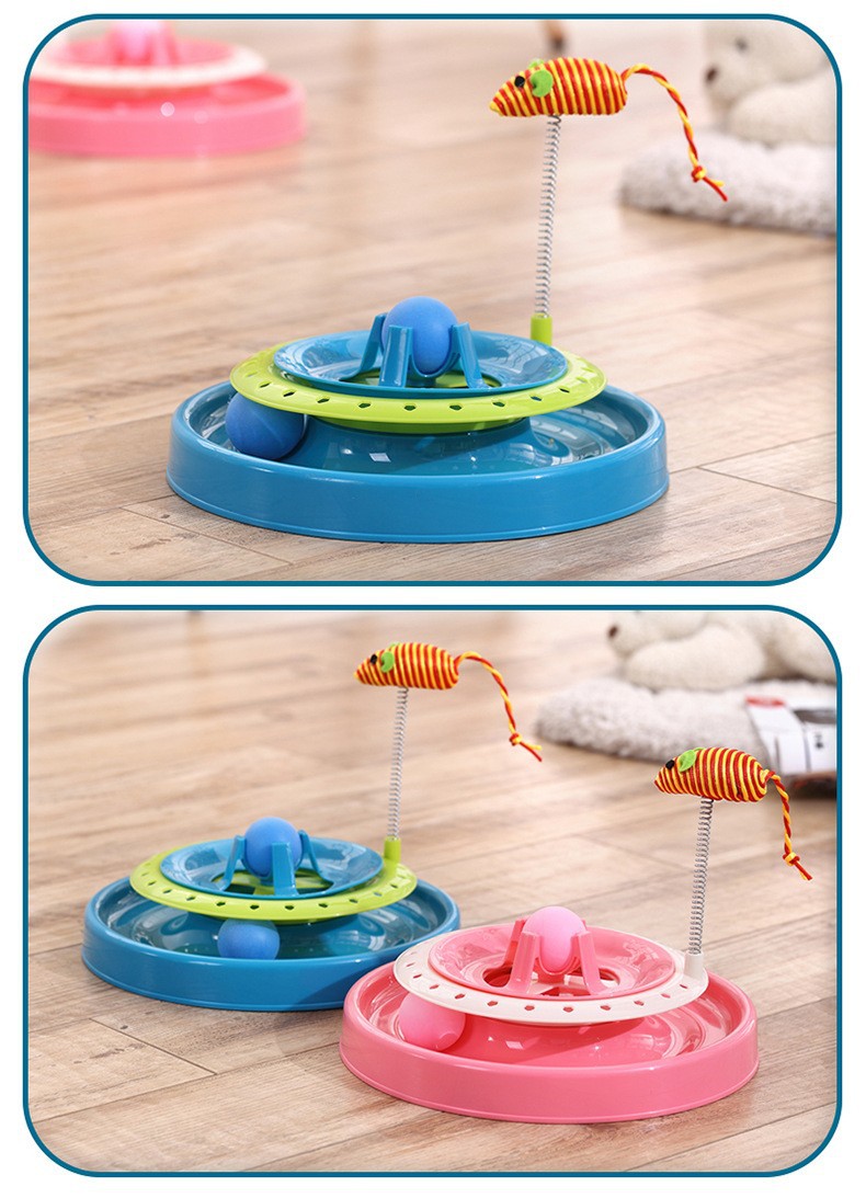 11312412451_595658654