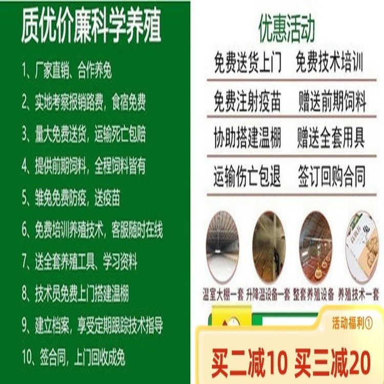 conew_b_1260965202101152135234