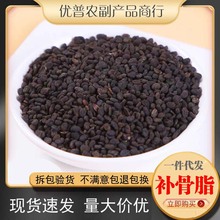 中药材批发补骨脂500g克正品破故纸婆黑故子盐补骨脂炒补骨脂