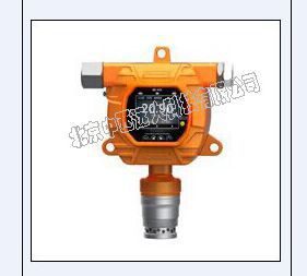 二合一气体检测仪型号GP19-500库号M406061