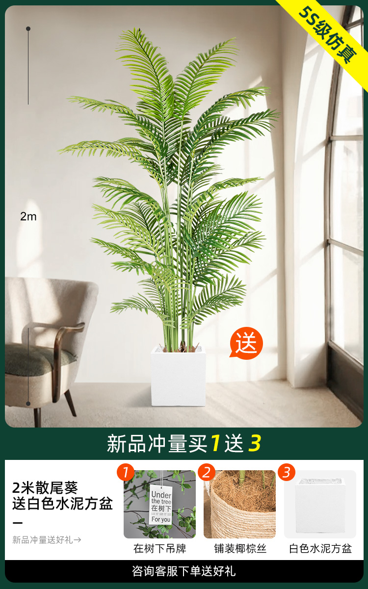 2 m 느슨한 말미잘 [흰색 시멘트 사각형 분지 보내기]]