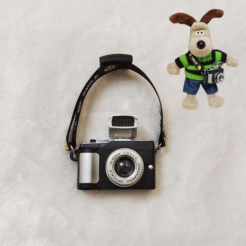 Head dog goggles, large, medium and small cameras, Christmas hat, blue hat, repair dog doll, scarf, hat, clothing accessories collection