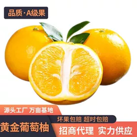 柚;其他水果;番薯类