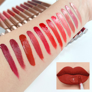 �羳12ɫ��֧�������ɫ��ɫ��մ������ڼt���Բ���ɫlip gloss