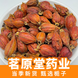 �d��500g֦���S�d�ӹ���ș�� ɽ�d�Ӽt֦�ӗd�ӻ��� ���l���l����