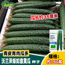 �G�����S�ϷN�� �r��ˈ@�̰Ѵ����ֱ�GƤ�G����������S����