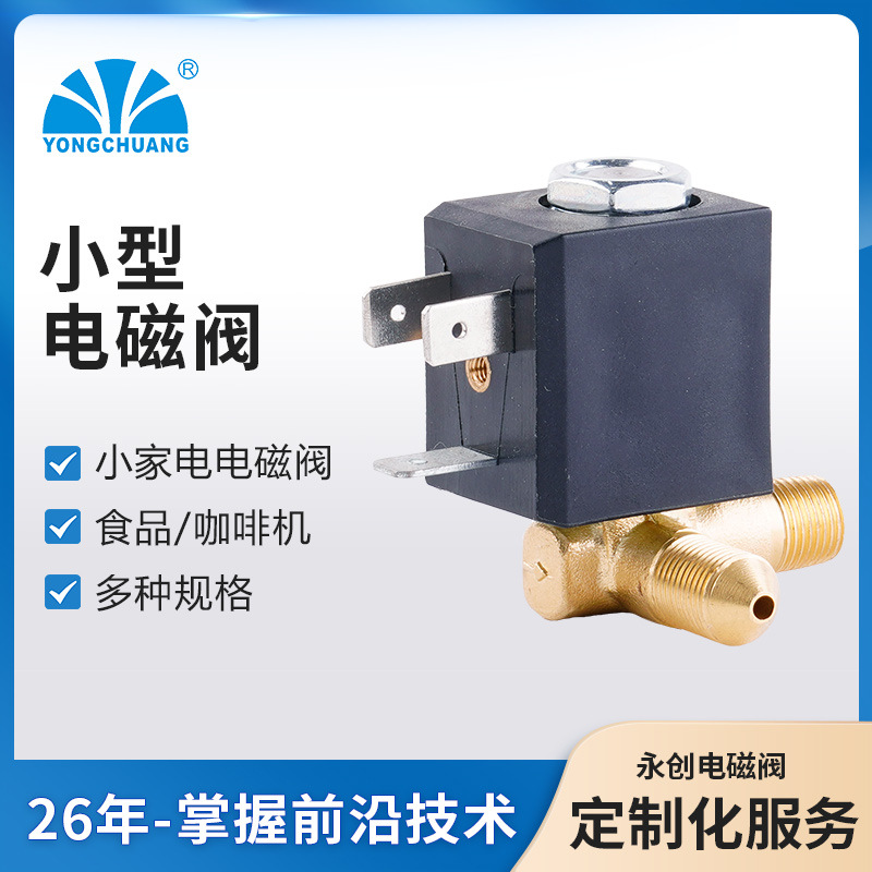 永创5523蒸汽挂烫机电磁阀 直角式微型电磁阀 燃气取暖器电磁阀