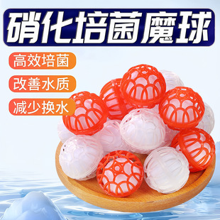 �~������������^�V����ë��V�ļ������������������ħ�� ���l