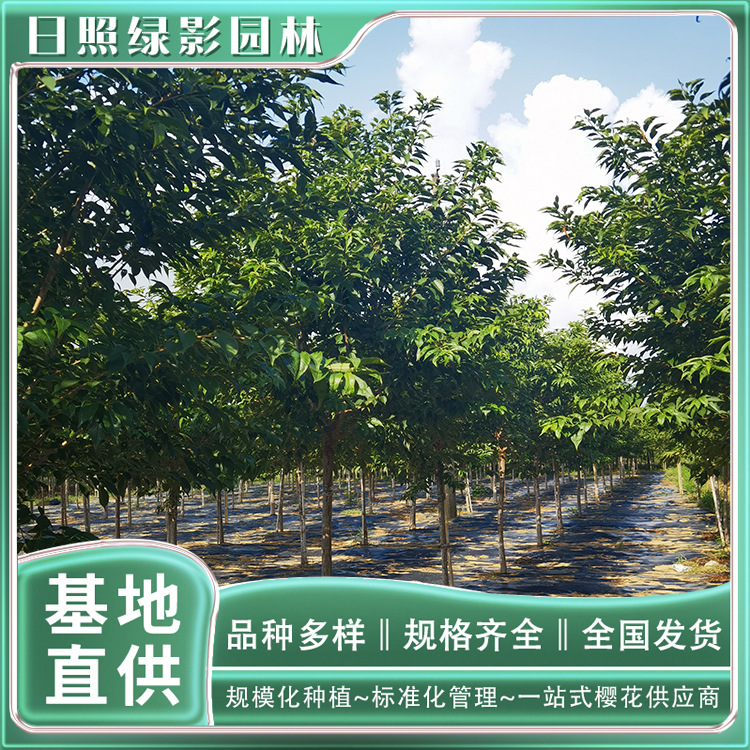 IMG_20210816_083306 副本.jpg