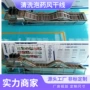循环自动大型芒果清洗机