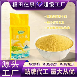 杂粮组合;其他五谷杂粮;小米