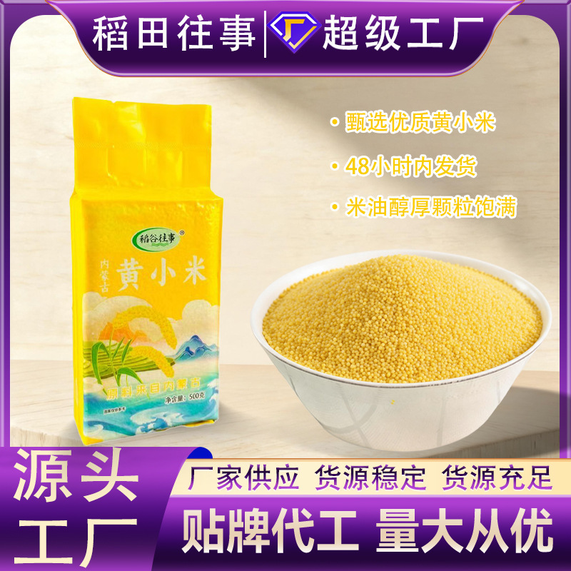 Inner Mongolia Yellow Millet 500g Vacuum-Packed New Rice Whole Grains Coarse Grains Fragrant Glutinous Millet Porridge Millet Coarse Grains