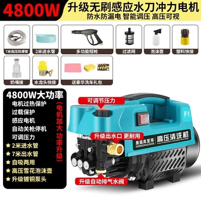 Black Cat Pressure Car Washer with Copper Core, Plug-In Large Motor, Adjustable Pressure, Household 220V Portable High-Pressure Washer (Car washing machine) - black-cat-curian-special-offer-ne1-explosion-proof-hose-short-nozzle