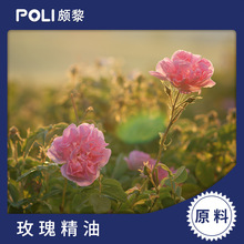 õ�徫��ԭҺԭ�����l�M��õ�徫�͏S���H���M��õ�徫��