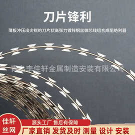 连云港热镀锌刀片刺绳 不锈钢刀片刺绳 农场防护铁丝网监狱防盗网
