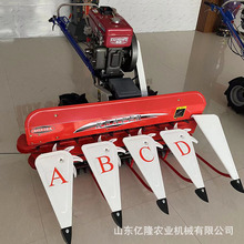 ����С�������������C ������ޣ�ݸ�C ����������ĸ���ո�C