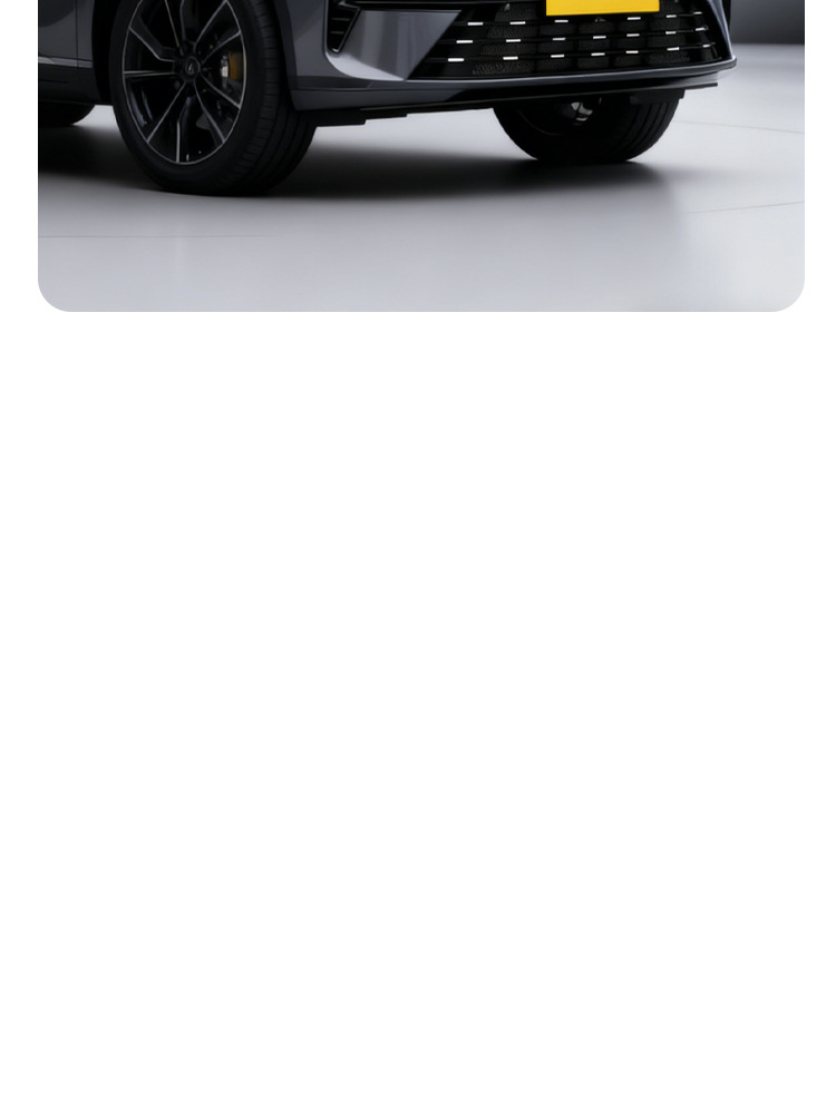 Suitable for 26 Models of Lynk & Co 08 Insect-Proof Net Front Grille Water Tank Buckle Protective Cover Insect-Proof Catkin Modification Accessories
