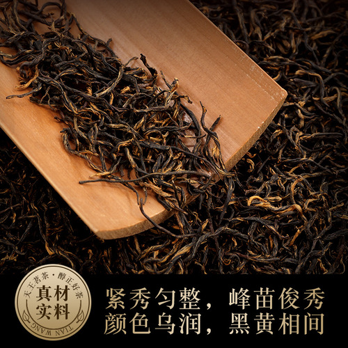 Golden Jing Mei Black Tea  New Tea Aromatic Loose-leaf Wuyi Mountain Origin Lapsang Souchong Black Tea