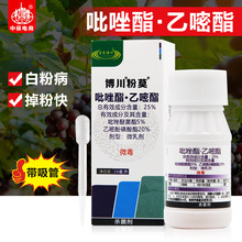 ������Ī25%���������׷ӻ��������Ѱ׷۲��rș������