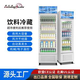 dapan奥达信冷藏展示柜酒水饮料柜牛奶冰箱立式冰柜110V220V跨境