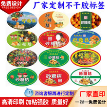 ����ɰ�ǽ۲����z�˺��M��Ě���ָ��۽۲����z�N�����ˮ���̘�ӡ