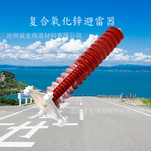 Outdoor high voltage HY10WZ-108/28 zinc oxide arrester HY5CX-216/562 wind power 110KV