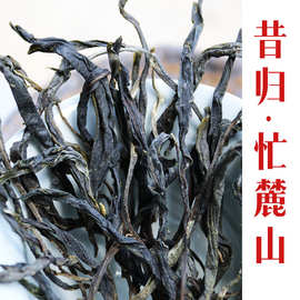 2024头春昔归古树茶临沧茶普洱生茶昔归忙麓山核心区纯料普洱散茶