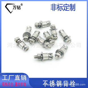 304 stainless steel back bolt factory wholesale tapping screw-in marble curtain wall back Bolt petal expansion screw