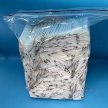 �������b��������ͥ�bһ���Գ����p�^�������ó�������������