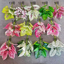 11���֦3D��С���^�~ �¿����Gֲ�~�Ŀ羳���Q���~���쾰�b�