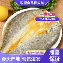 �S�~�����r������S�~�S���~��ȥ���r����С�S�~���r�~��~����