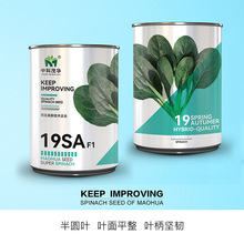 пïA߲˷N19SA˷NӴ~A~Խ400/