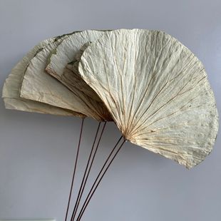 ���~�ɻ�ɏ�������~�}���l���ӶU�������b[���Ĕz�������l