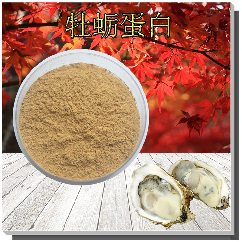 牡蛎蛋白50%含量支持检测牡蛎提取物现货无中间商批发生蚝蛋白粉