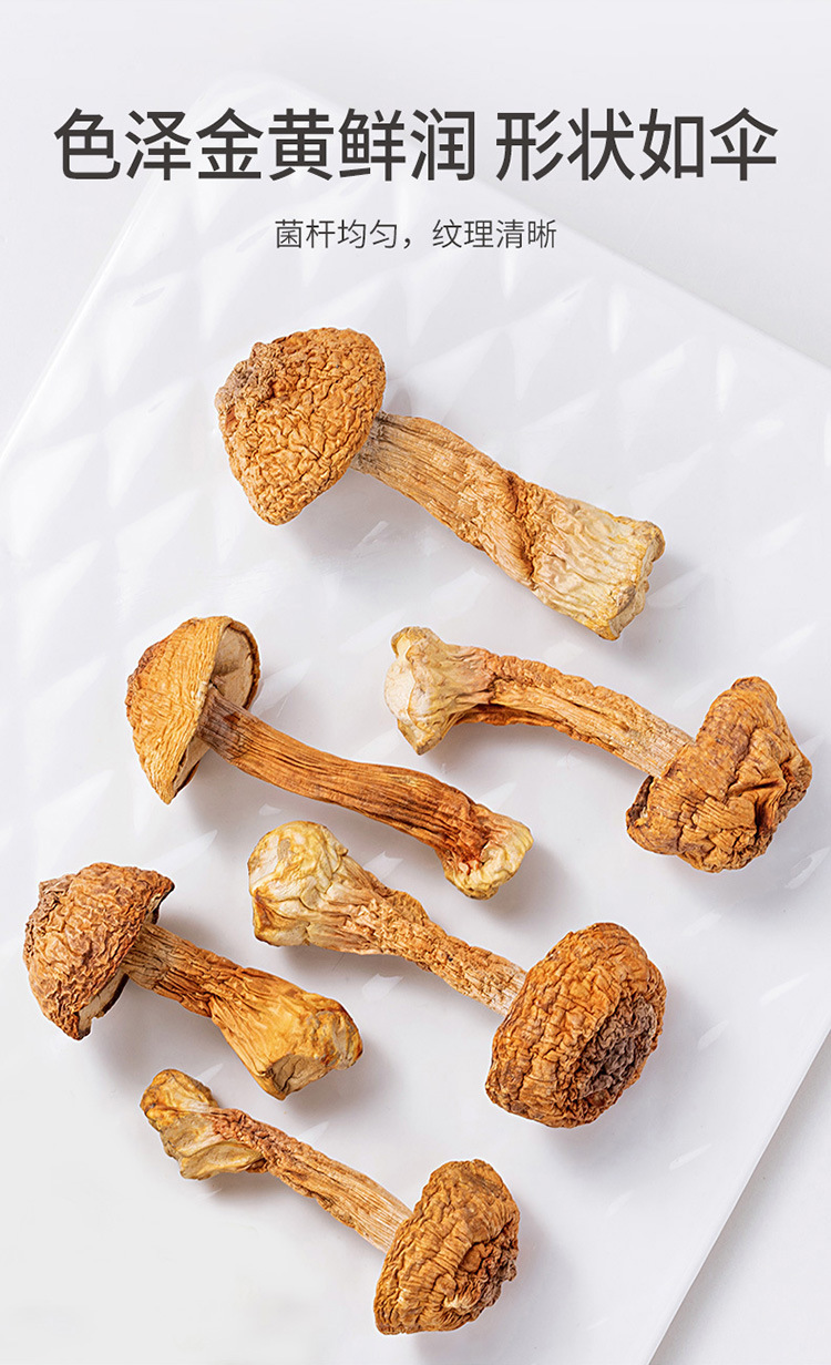 Dried Agaricus Blazei Mushrooms Ji Song Rong 500g Natural Culinary Fungi for Soup Broth and Stews key features