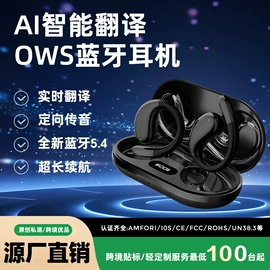 蓝牙耳机;智能眼镜;智能语音设备