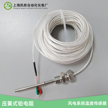 ����ʽ�ضȂ����� �߾���PT100�K��� �L�ϵ�y�ض�̽�^�S��ֱ��