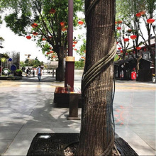 ���ϸɘ�֦늾����@��ľ���ٗl�bܷ�Ƥ������Ę��ٴ�����